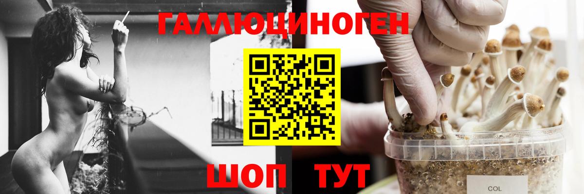 Галлюциногенные грибы Magic Shrooms  Вход с VPN  Соль-Илецк 